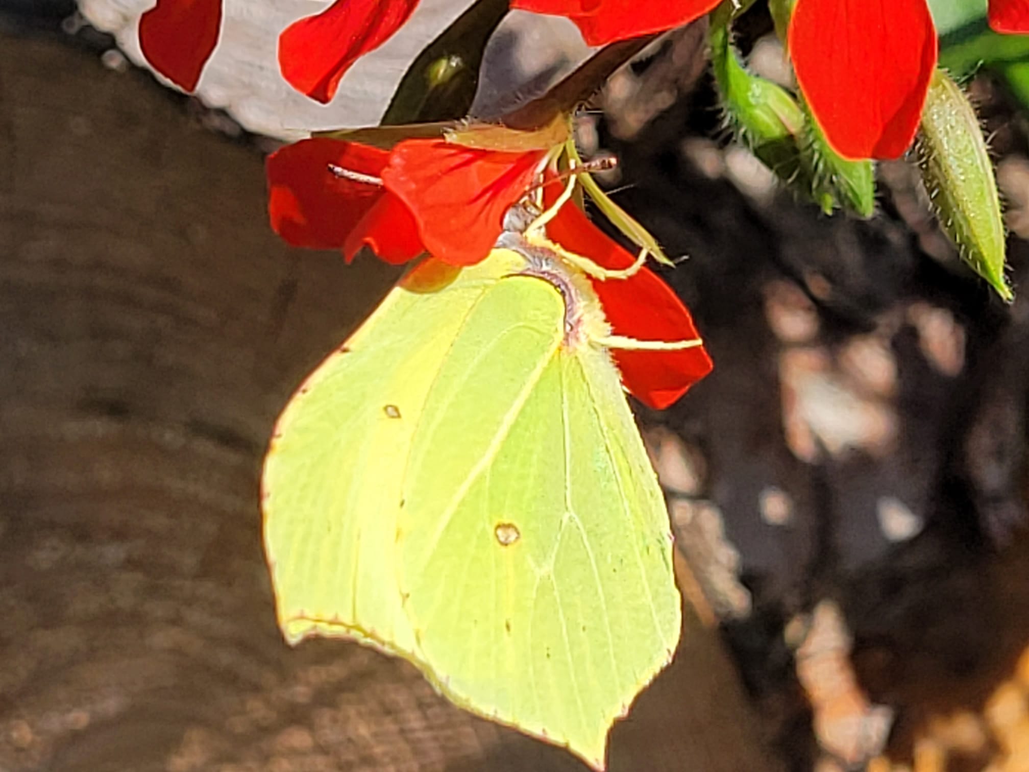 Atemgymnastik für den Alltag
