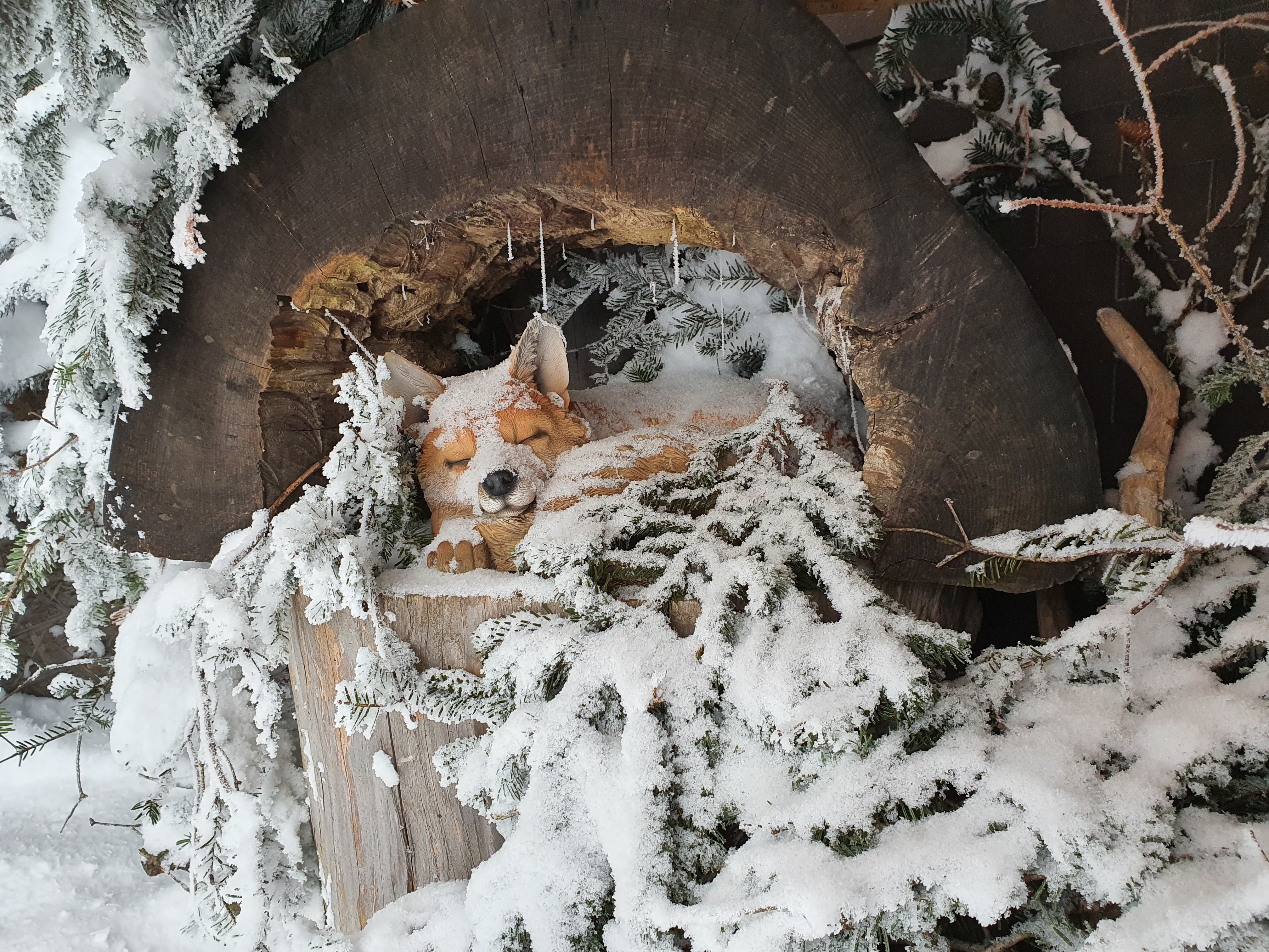 Rückblick und Ausblick