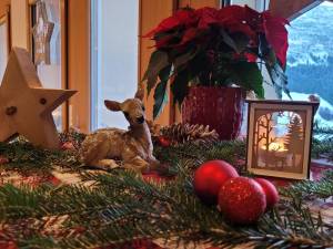 20221127_074818_original