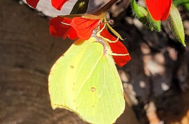Atemgymnastik für den Alltag
