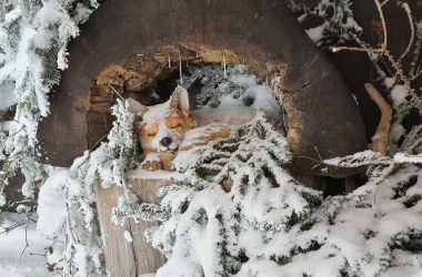 Rückblick und Ausblick