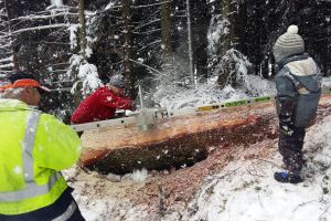 Karl's "Freihimmel-Werkstatt"